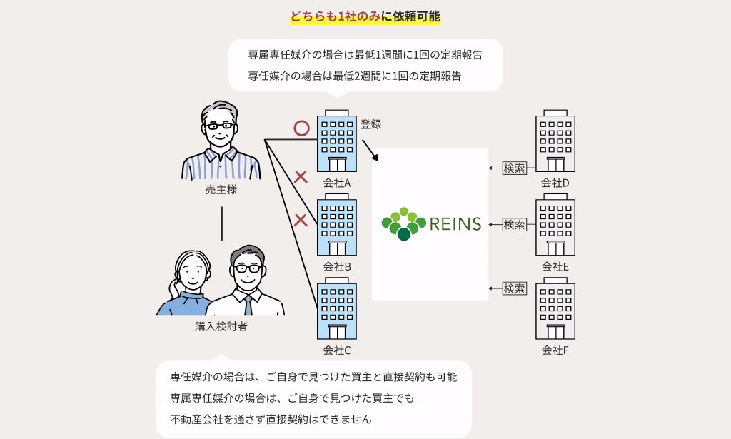 専任媒介契約・専属専任媒介契約の相関図