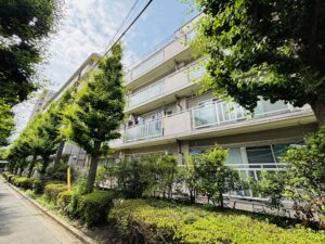 江戸川区　松江マンション　308号室 画像3